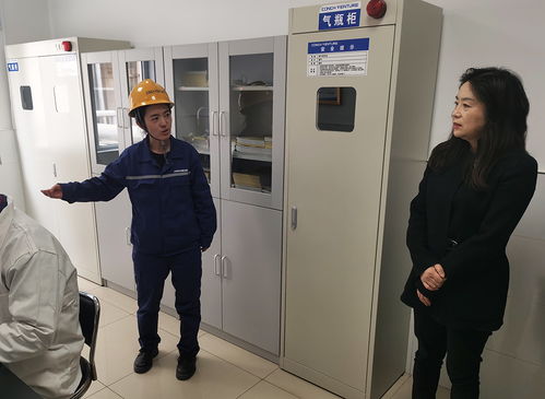 劉麗帶隊檢查我市《中華人民共和國固體廢物污染環(huán)境防治法》落實情況